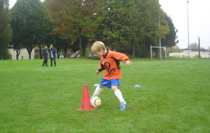 Au tour de Sacha , oups le plot !