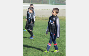 5ca3d1b6f2936_IMG2778.JPG