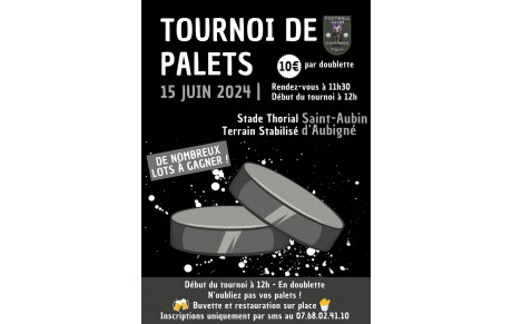 Tournoi de palets !